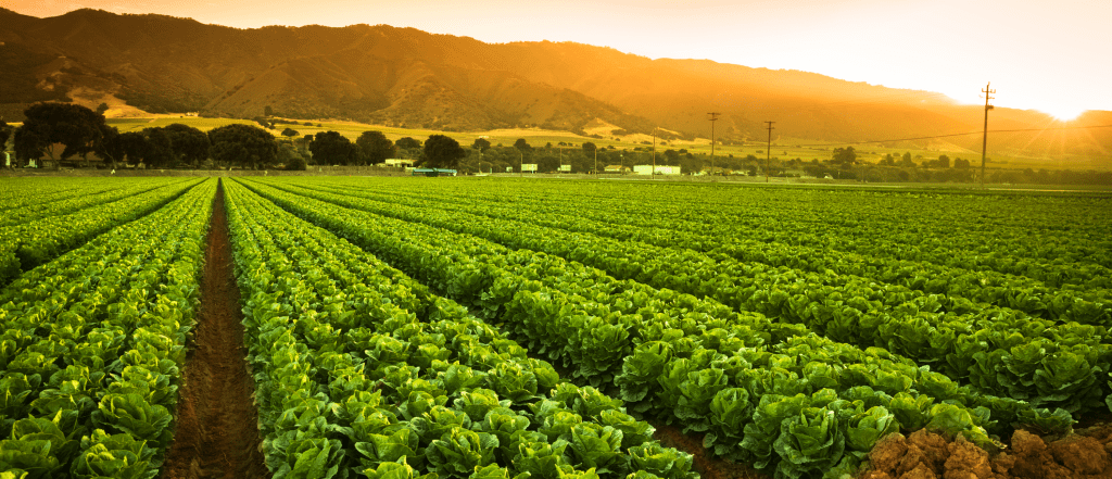 Nigeriaâ€™s National Economic Council Approves $90 Billion Agribusiness and Livestock Development Plan