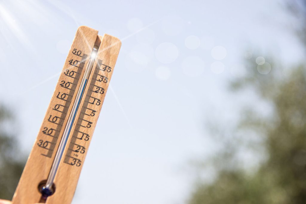 Rising Temperatures: Implications for Physical and Mental Health