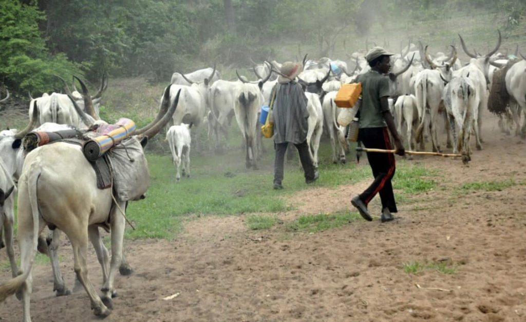 Tragedy in Kaduna: Lightning Strike Kills Young Herder and 12 Cows