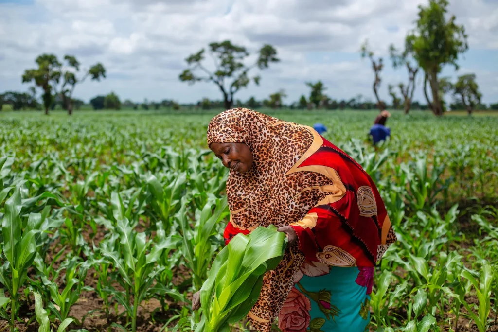 Call-to-Revamp-Agricultural-Extension-Systems-in-Nigeria frontpage news
