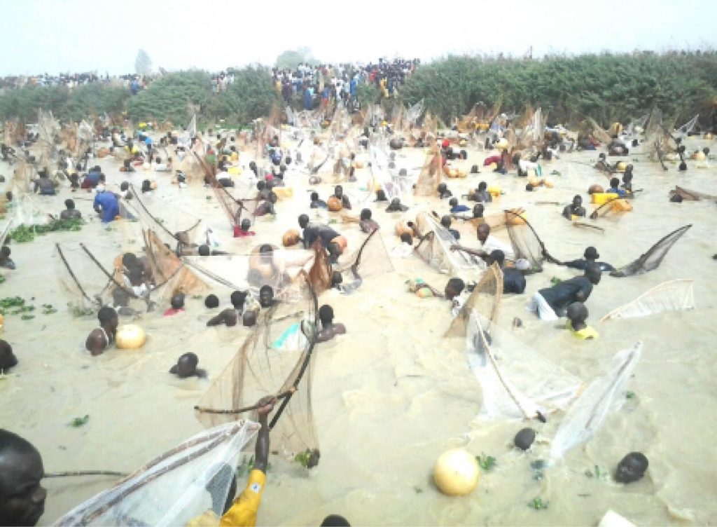 Kebbi-State-Postpones-61st-Argungu-International-Fishing-and-Cultural-Festival frontpage news